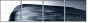 55810226