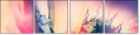 55958688