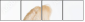 56309569