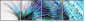 58274972