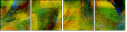 58509769