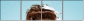 58845026
