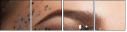 58896407