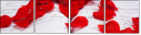 59304443