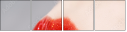 60543232