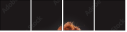 60781172