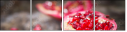 61040220