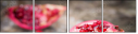 61040381