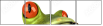 61064251