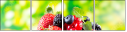 62401359