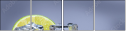 63830847