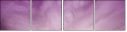 65457825