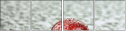 67079233