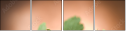 67189793