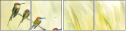 67324522