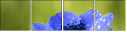 6756687