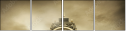 71415695
