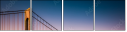 71420555