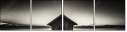73065237