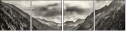 73210814