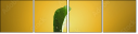 75277483