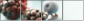75558207