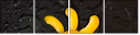 76101824