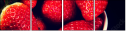 76277931