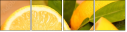 78139394