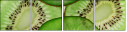 78577804