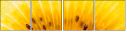 78671231