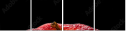 78900295