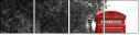 8421281
