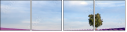 9059586