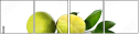 9083663