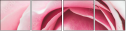 95247840