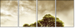 11108613
