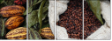 11160772