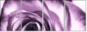 11865044