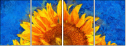 121341764