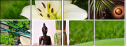 12445370