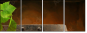 13276134