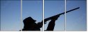 137171558