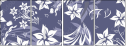 15644244