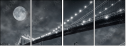 15676398