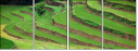 15713254