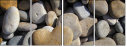 15773102