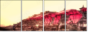 16482006