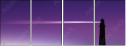 16699558