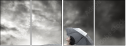 16975398